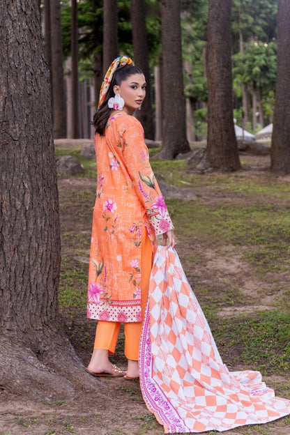 (Bundle OF 10) Riwayat By Shanaya