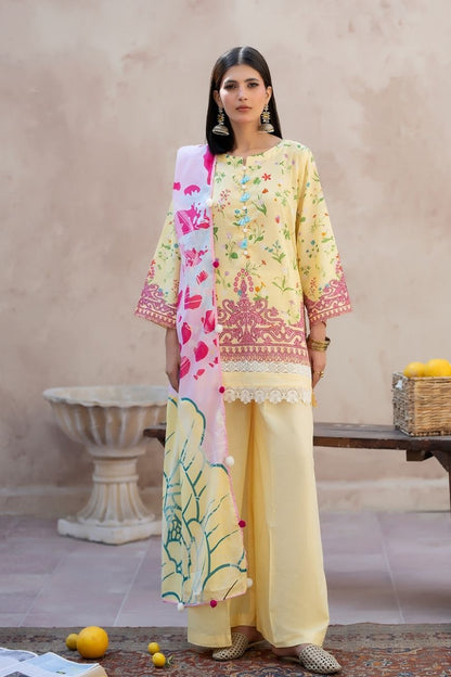 Mahr Mah By Paltar Bundle OF 12 Designs