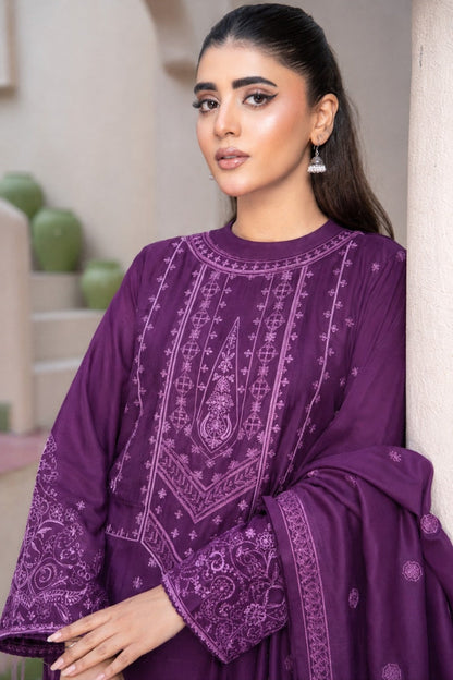 Bundle OF 06 | Fasana By Shanaya | Dhanak 3PC