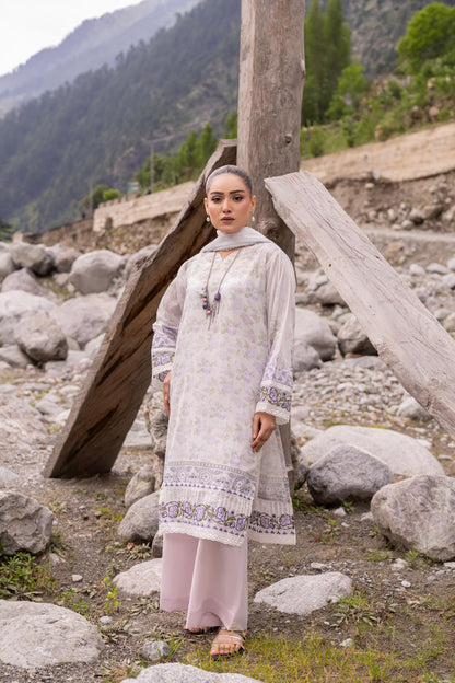 (Bundle OF 10) Shanaya