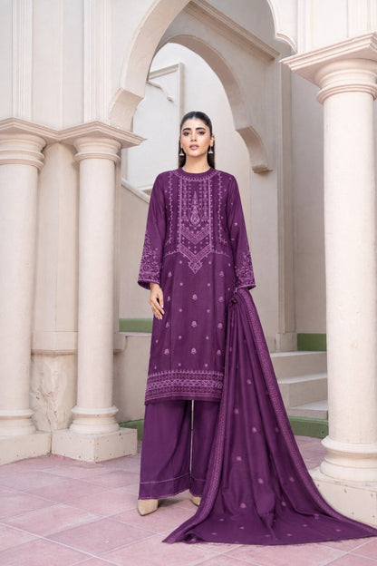 Bundle OF 06 | Fasana By Shanaya | Dhanak 3PC