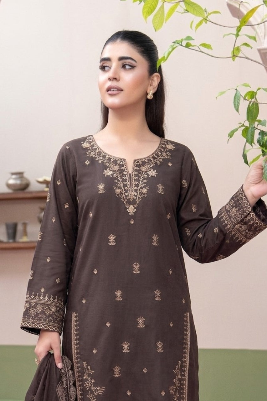 Bundle OF 06 | Fasana By Shanaya | Dhanak 3PC