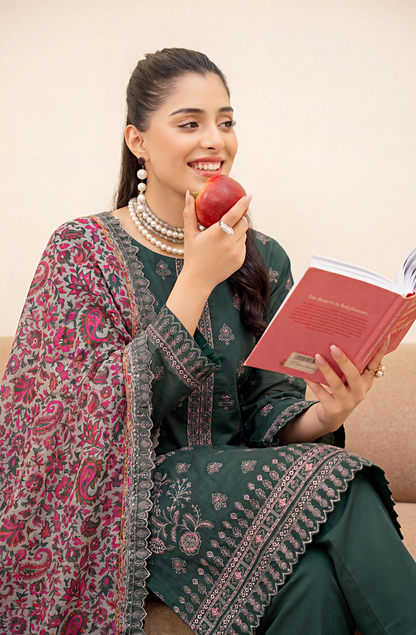 Meadows By Anaya Noor Emb Lawn With Organza Patches 3PC