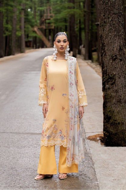 (Bundle OF 8) Nura By Shanaya