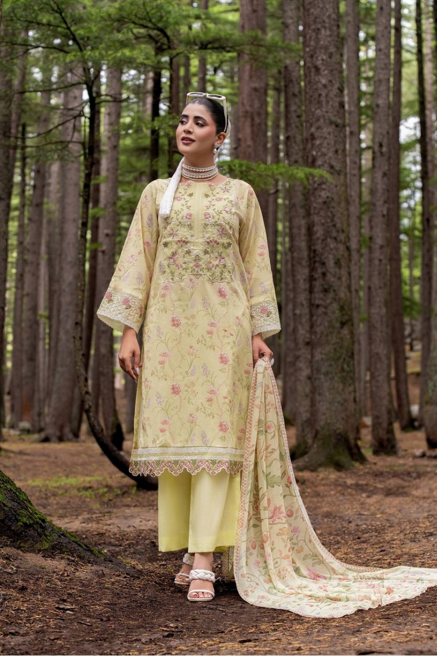 (Bundle OF 8) Nura By Shanaya