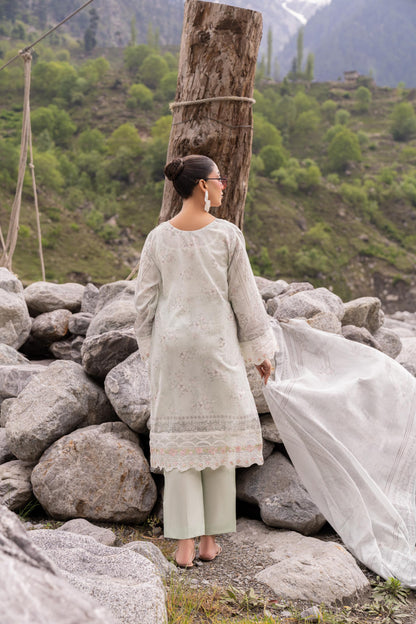 (Bundle OF 10) Shanaya