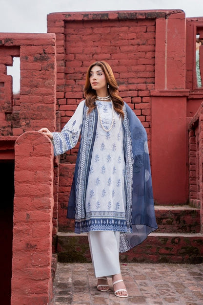 (Bundle OF 10) Maya By Shanaya