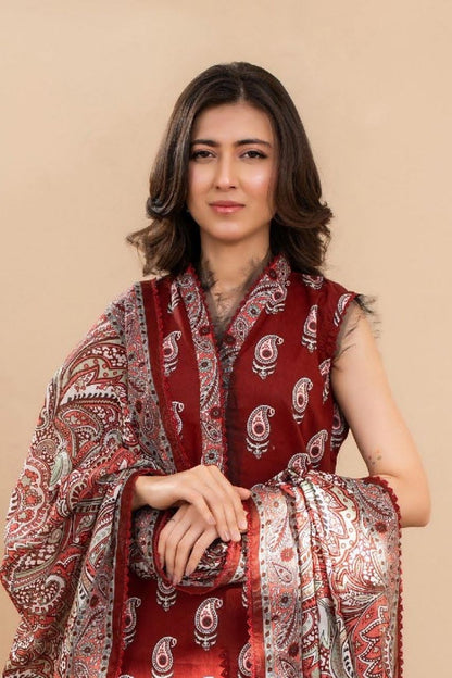 Zesh (SET OF 12)