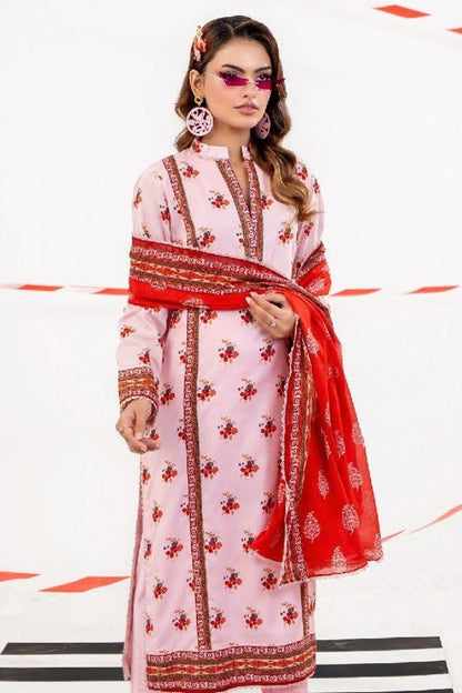 Zesh (SET OF 12)