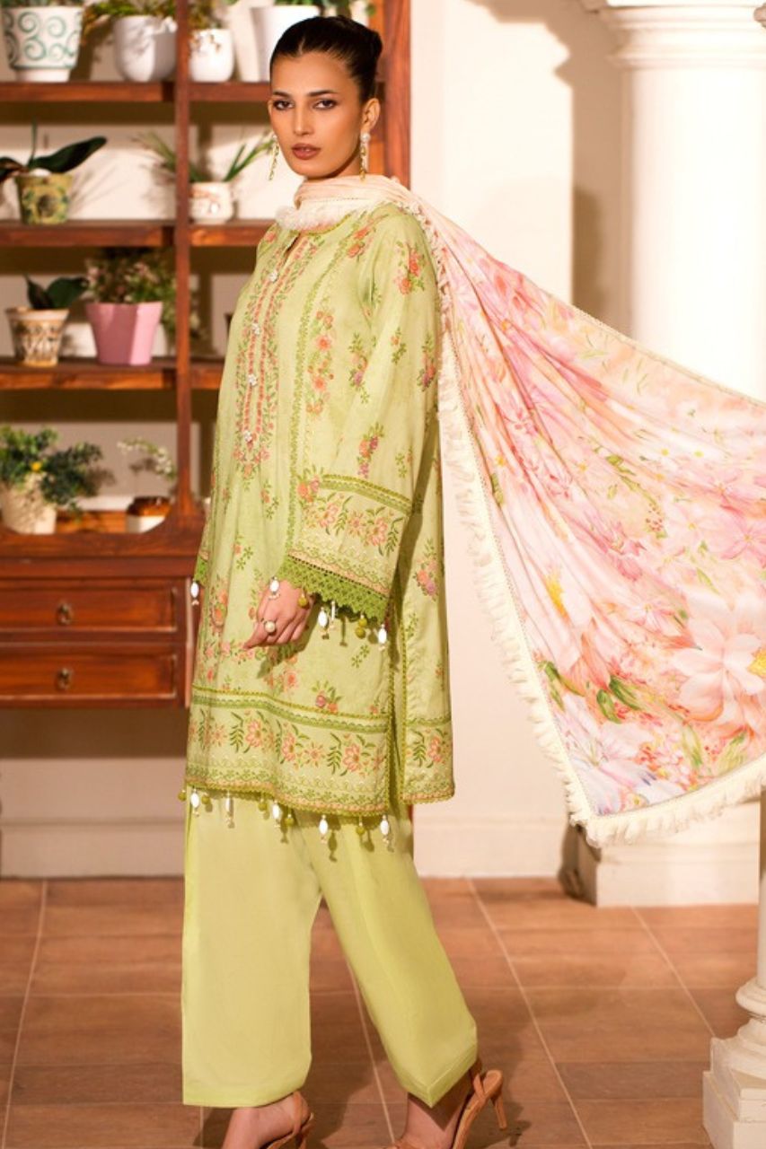 (Bundle OF 10) Mausummery