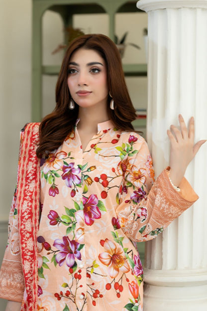(Bundle OF 12) Tabasum By Paltar