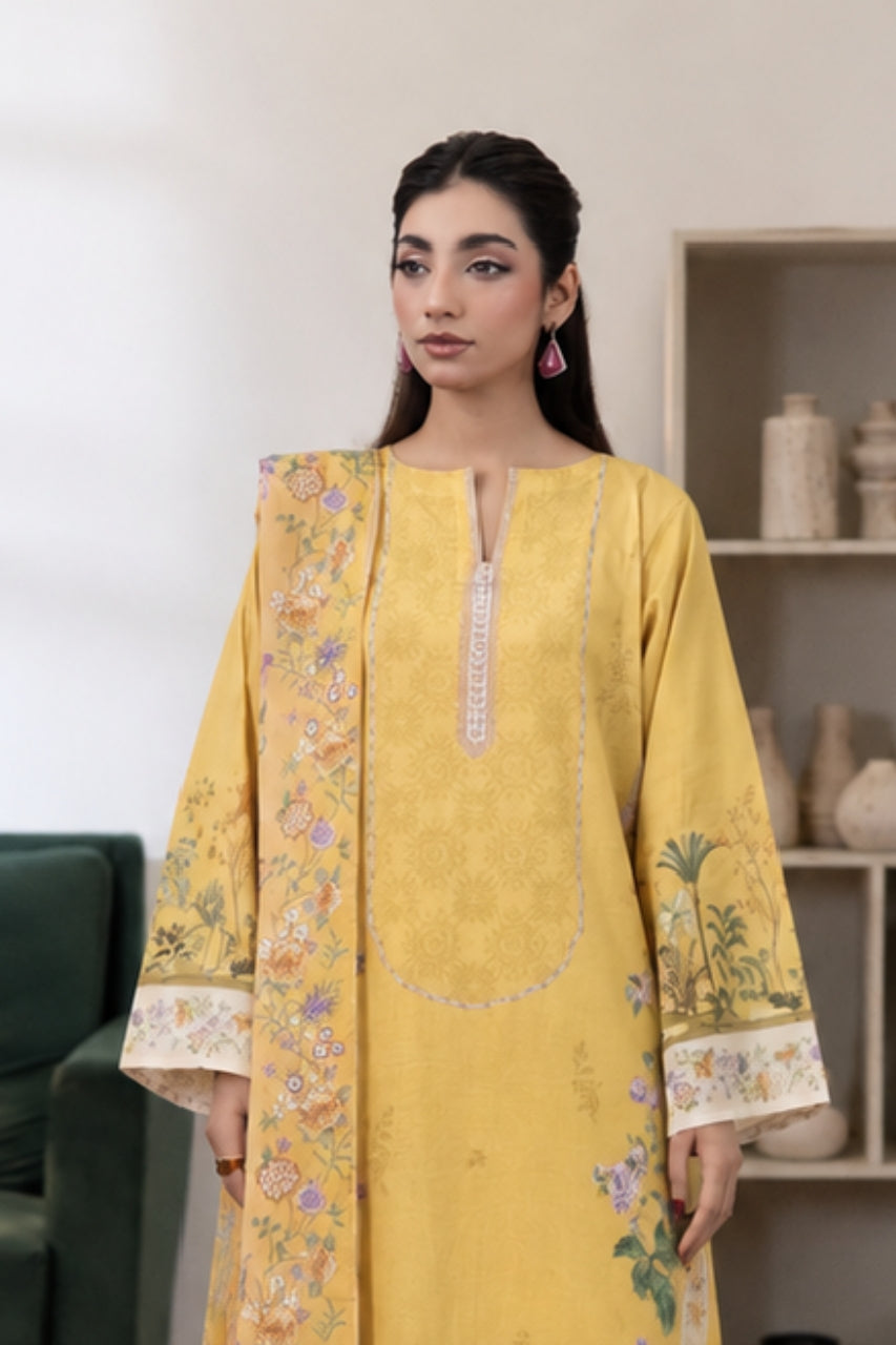 Bundle OF 10 | Anaya Noor | Stone Linen 3PC