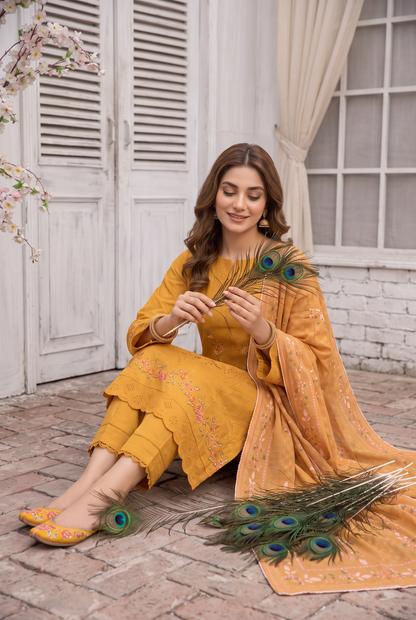 Bundle OF 06 | Maham By Anaya Noor | Dhanak 3PC