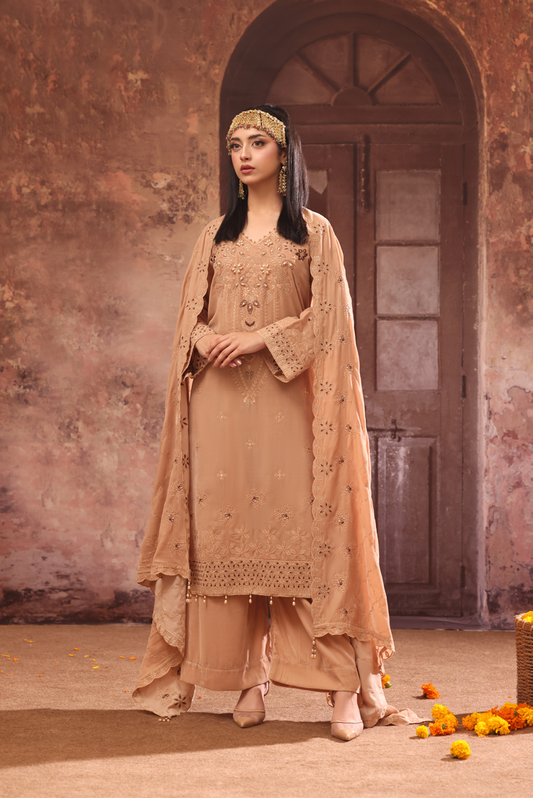 Bundle OF 06 | Makhmal | Velvet 3PC