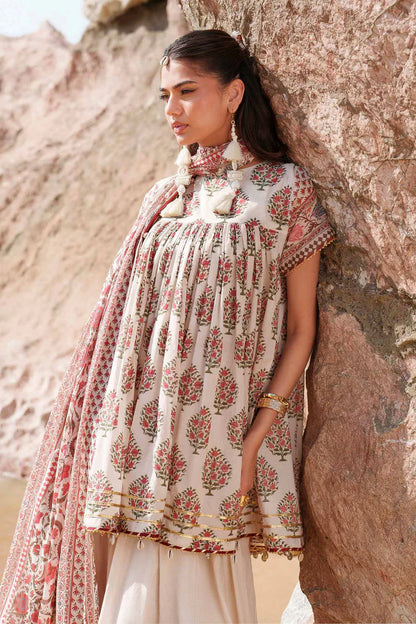 (Bundle OF 11) Nishat