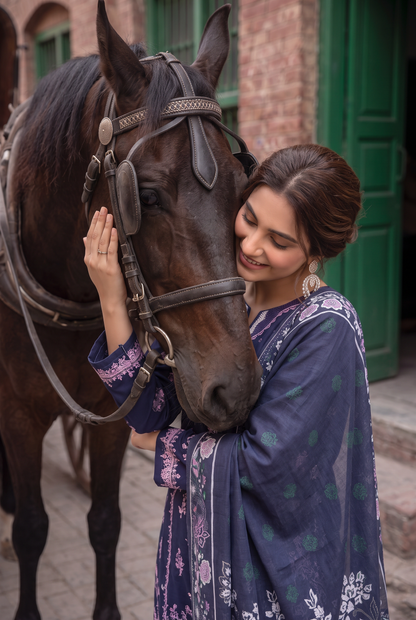 Bundle OF 06 | Sukhaina By Anaya Noor | Dhanak 3PC