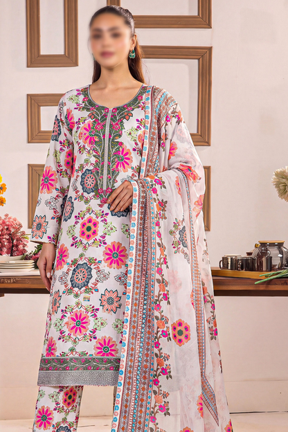 Bundle OF 10 | Asifa Nabeel | Shamoz Silk 3PC