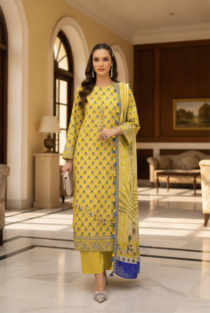 (Bundle OF 10) Afreen By Lala